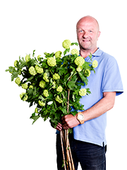 Medewerker Willem ABflexkracht