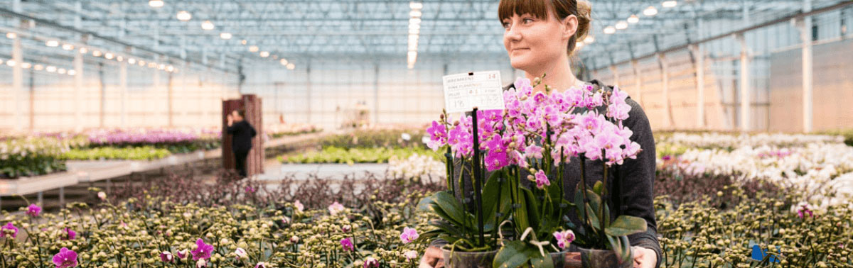 horticultural temporary worker