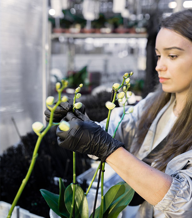 Agrarische medewerker verzorgt jonge planten in een kas.