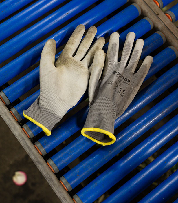 Handschoenen op transportband na gebruik werk in de agrarische sector.