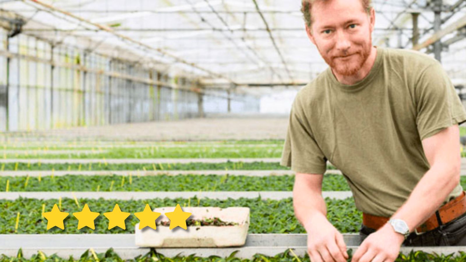 European temporary worker in the horticulture sector in the Netherlands