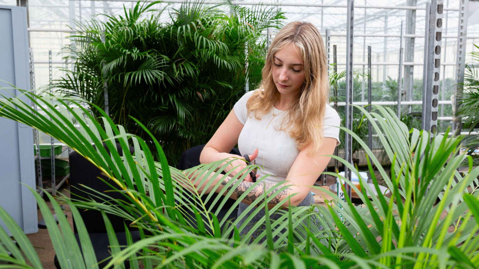 Meteen werken in Nederland tuinbouwsector 2025