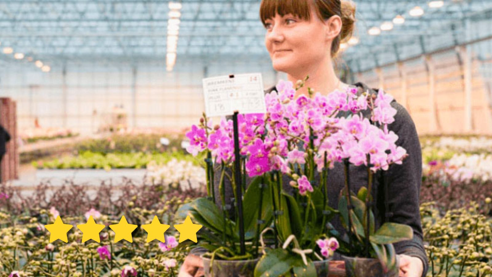 European temp worker in the agricultural sector in the Netherlands